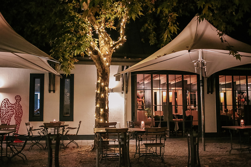 Grande Provence Tree Lights