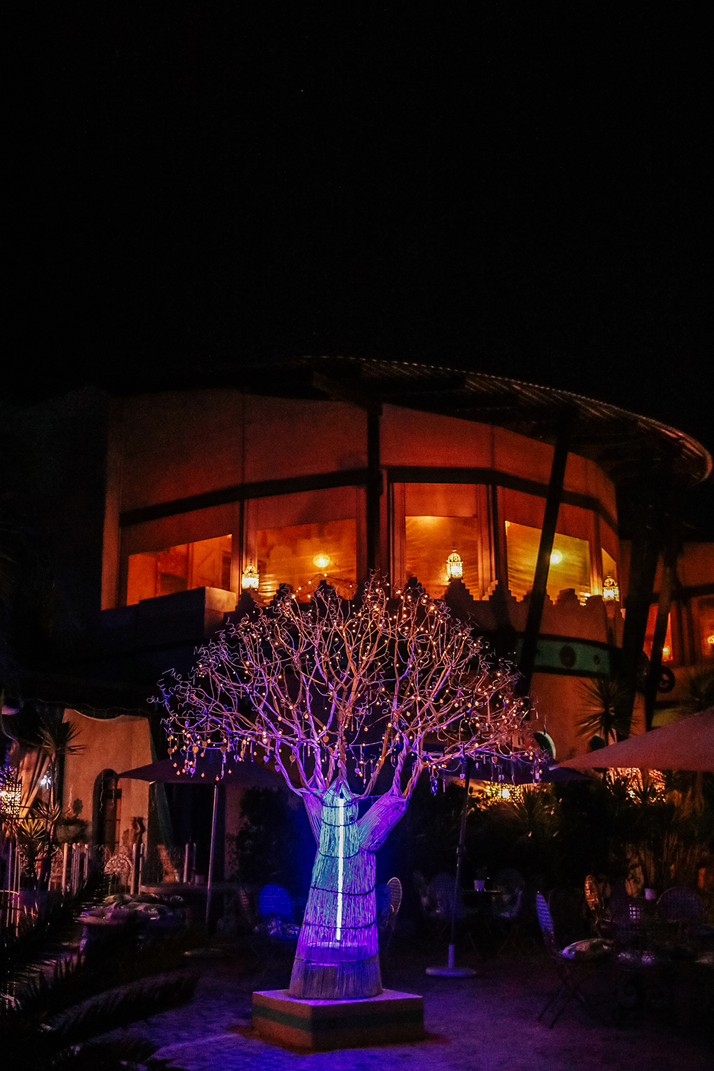 A’la Turka Lit Tree