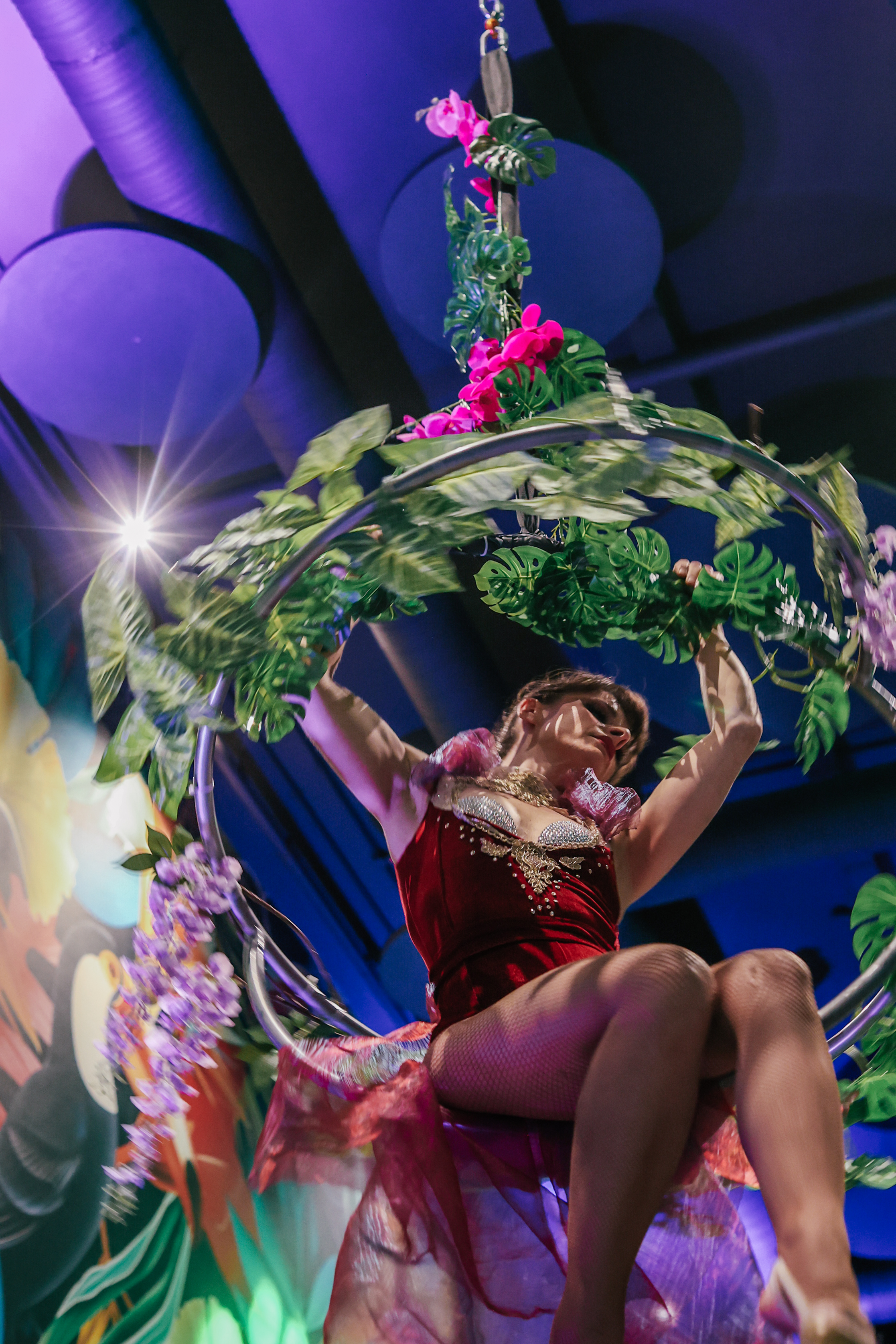 Eclipse Cherry Dance Aerial Hoop