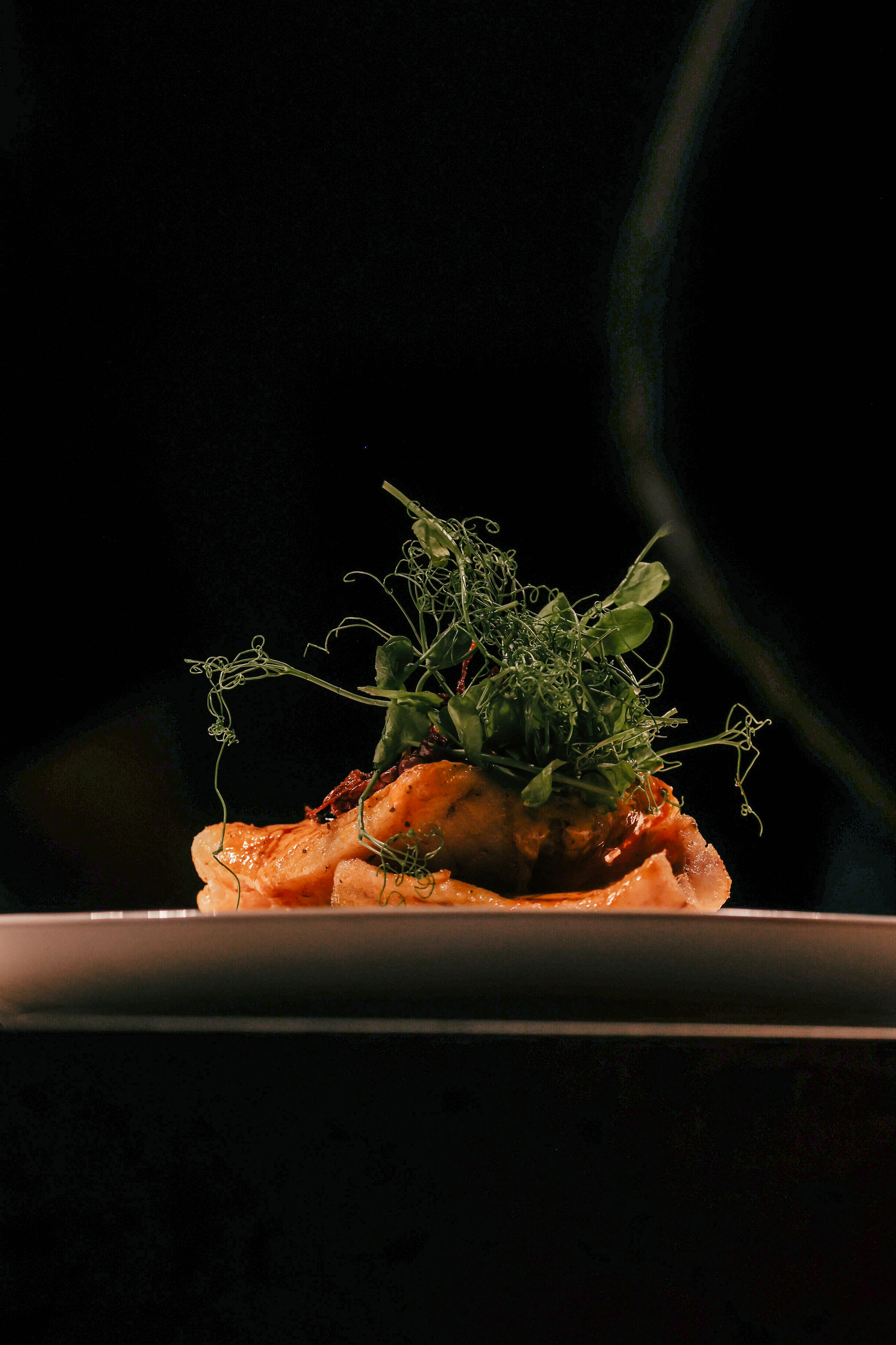 Pasta Barra Food Dish